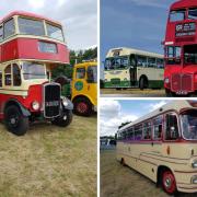 The Big Bus Show took place at Stonham Barns Park on Sunday