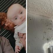 Skye Crooks-Evans, partner Tye Christian, and one-year-old son Theo, live in a flat full of mould in Stowupland.