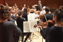 Suffolk Philharmonic Orchestra will be playing in the county's summer of music