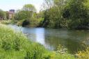 The River Gipping