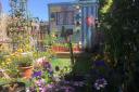 Hannah Earrey says her mental health has been much improved thans to her garden in Ipswch Picture: HANNAH EARREY