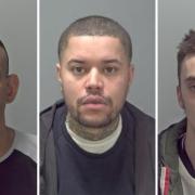 Herman Crouch, David Folkes and Marley Williams are among those jailed in Suffolk this week