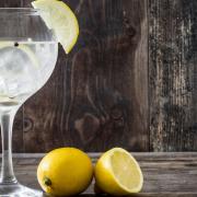 World Gin Day 2021 is coming up in June